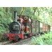 Talyllyn Railway 2014 DVD